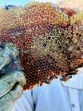 West Texas Raw Wildflower Honey — Pint
